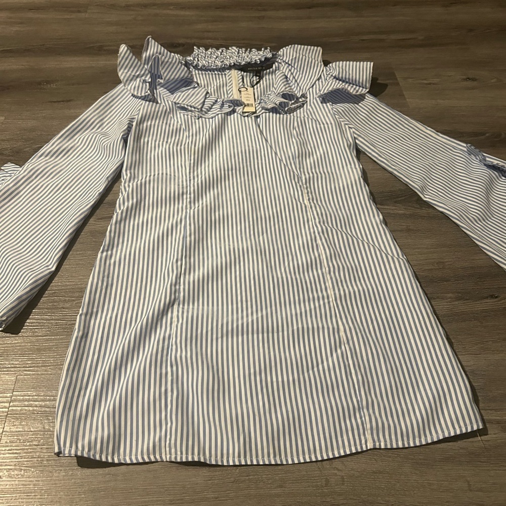 Walter Baker Blue and White Striped Dress